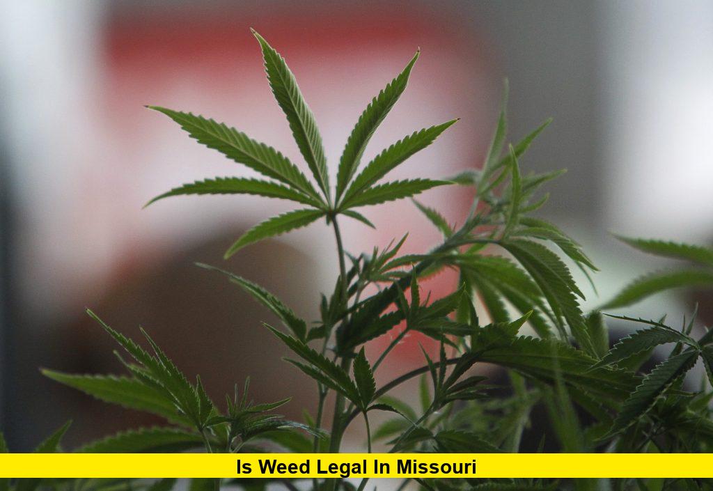 Is Weed Is Legal in Missouri